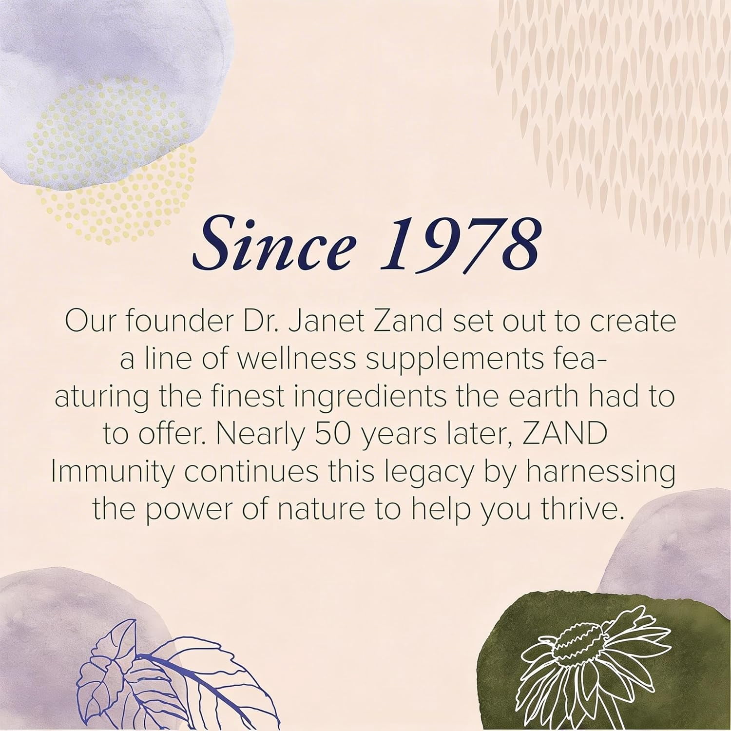 (Pack Of 12) Zand Lozenges Elderberry Zinc 18 Pieces