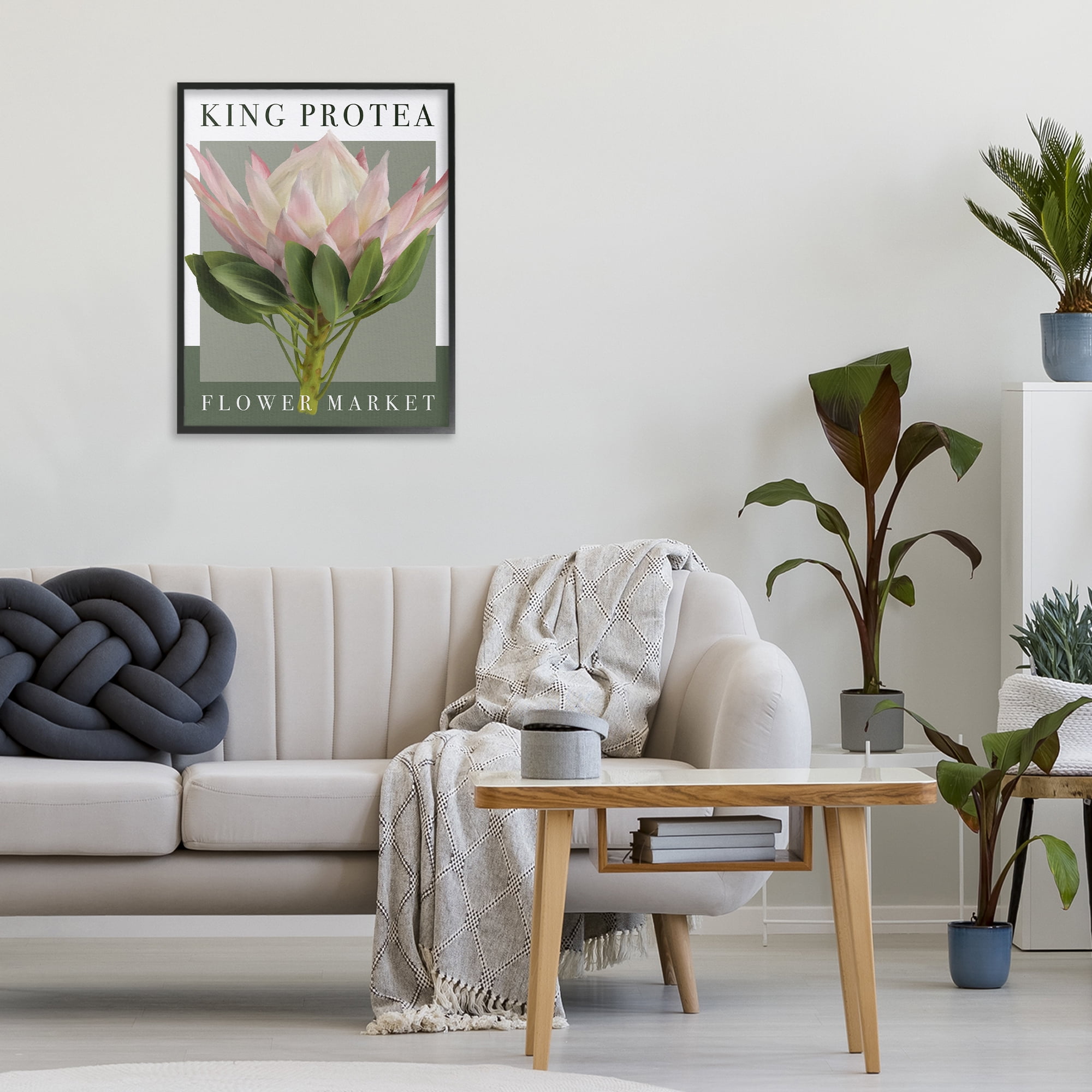 Stupell Industries King Protea Flower Market Black Framed Giclee Art, design by Jennifer Stith