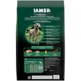 Iams Advanced Health Skin & Coat Chicken And Salmon Recipe Adult Dry