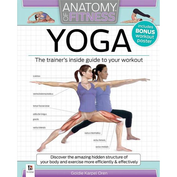 Anatomy Of Fitness Yoga (Paperback) by Hinkler Pty Ltd