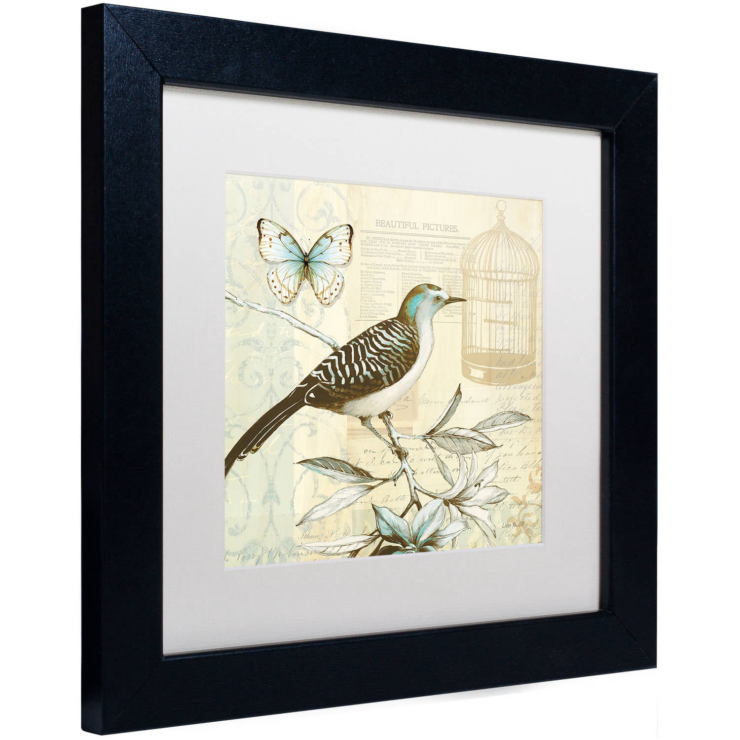 Trademark Fine Art "Freedom I" Canvas Art by Lisa Audit, White Matte, Black Frame