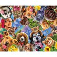 thumbnail image 1 of Pintura de diamante 5D DIY taladro redondo completo gato perro Kit decoración del hogar arte artesanal FLhrweasw Nuevo, 1 of 9