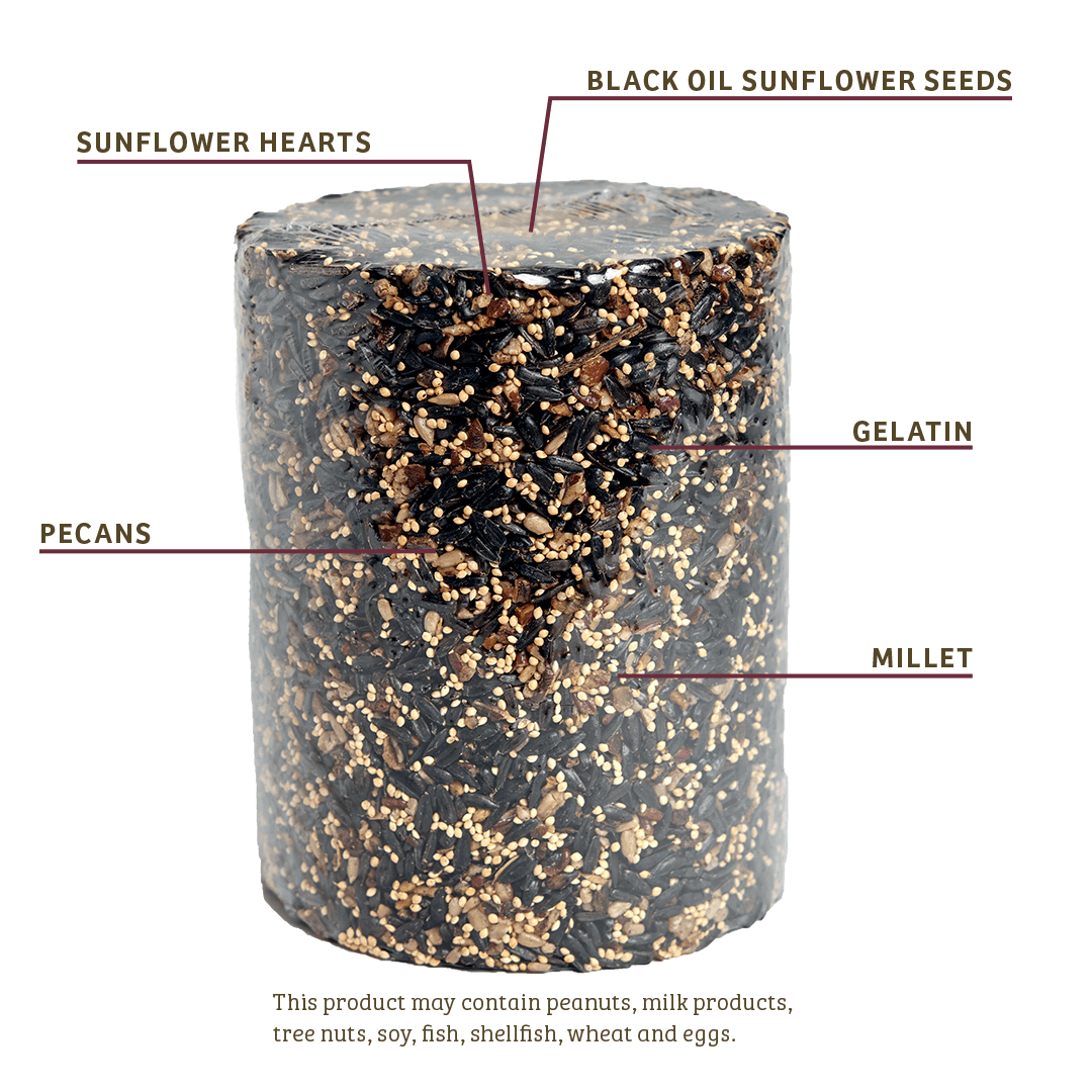 Birds Choice Cardinals Crave Seed Cylinder - Large
