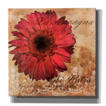 Epic Graffiti 'Gerbera Italia'  by Art Licensing Studio Canvas Wall Art, 18" x 18"