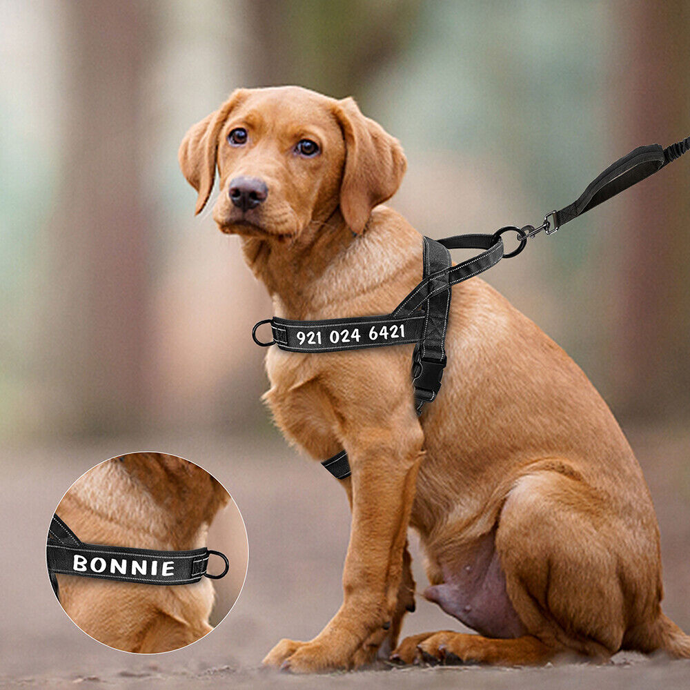 Pet Artist No Pull Dog Harness for Medium Large Dogs Reflective Personalized Name ID Strap Vest Front Leading