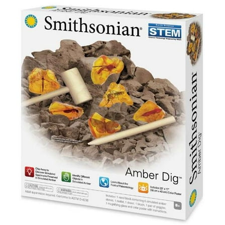 DDI 2377696 Smithsonian Amber Dig Kits - Case of 4