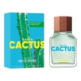 thumbnail image 3 of BENETTON GREEN CACTUS FOR MEN EDT 100 ML Benetton 2023, 3 of 3