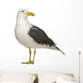 thumbnail image 1 of Herring Gull 3 Years Wall Decal Sticker, Wallmonkeys Peel & Stick Vinyl Graphic (36 in H x 33 in W, 1 of 4