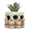 thumbnail image 2 of Skull Flower Pot, Versatile Skull Plant Holder  for Garden for Home, 2 of 8
