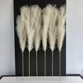thumbnail image 4 of TETOU 6 Stems Faux Pampas Grass 43.3" Tall Big Pompous Grass Vase Filler Home Boho Decor - Beige, 4 of 10