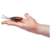 Robo Alive Electronic Crawling Cockroach Battery-Powered Robotic Toy by ZURU - Electronic Pet