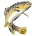 thumbnail image 2 of Wildlife Trout Wall Decal by Wallmonkeys Peel and Stick Graphic (36 in H x 31 in W) WM243333, 2 of 4