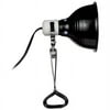 Fluker's Clamp Lamp with Dimmer, 8.5"