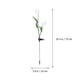 thumbnail image 5 of Lámpara solar de estaca para jardín, decorativa, con forma de tulipán, para exteriores, con luz LED solar, 5 of 6