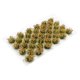 thumbnail image 3 of Cluster de Hierba Paisaje Flor Modelo Perfecl 35 1:48 1:72 1:87 Estilo E, 3 of 7