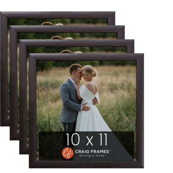 Craig Frames 10 x 11 inch Picture Frame Brazilian Walnut Brown, Set of Four