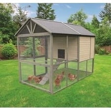 Innovation Pet Inc Coops Feathers Walk In Wooden Chicken Coop Hen House