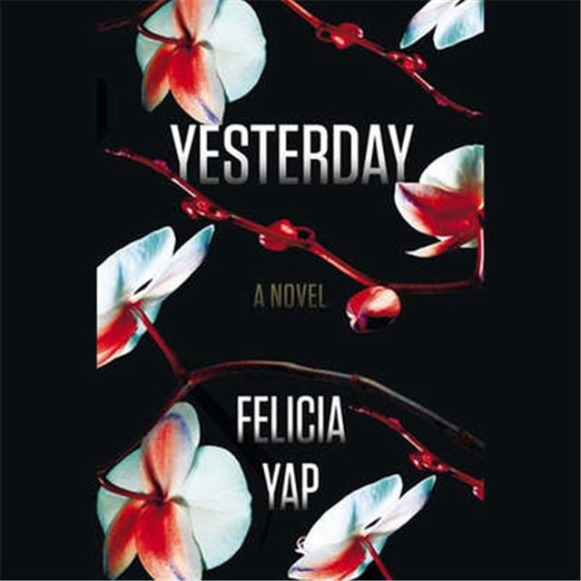 Blackstone Audio 9781478990109 Yesterday - A Novel Audio Book