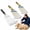 10.63+12.6+14.6 in, variant on Furizzy Grooming Rake Horse Brush Back Scratcher Livestockļ¼Big | Removes Loose Hair & Dirt with Grooming Rake, Works As Back Scratcher for Livestock