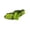 GN, variante sur EGNMCR Ceinture d'Hydratation de Camping et Randonnée Porte-Bouteilles d'Eau pour Randonnée Cyclisme Ajustable Pack Sports Extérieur Vert nylon Pack