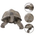 thumbnail image 2 of Décoration de Tortue Artificielle Modèle de Tortue Décoration Modèle d'Animal Sauvage, 2 of 5