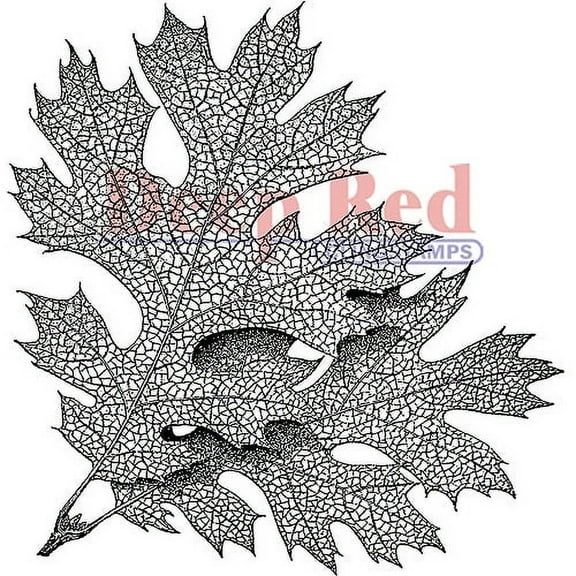 Deep Red Rubber Cling Stamp Elm Leaves with Veins Fall Autumn