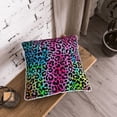 thumbnail image 3 of DouZhe Velvet Decorative Throw Pillow Covers Set of 2, Soft Square Cushion Cover with Invisible Zipper Rainbow Animal Texture Printing, 18"x18", 3 of 7