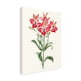 thumbnail image 2 of Vision Studio 'Roseate Blooms I' Canvas Art, 2 of 3