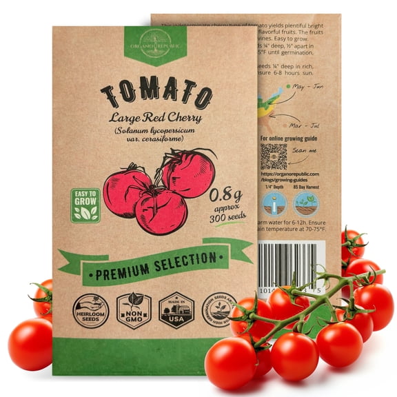 Large Cherry Tomato Seeds Pack 0.8g – 300 Non-GMO Heirloom Vegetable Seeds for Planting Indoor or Outdoor Home Garden