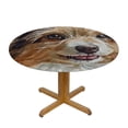 thumbnail image 3 of BANET Fitted Round Tablecloth Australian Shepherd,Cute Brown Puppy Kawaii Dog Table Cover,Elastic Edged Table Cloth Fits Round Tables 46"-50, 3 of 8