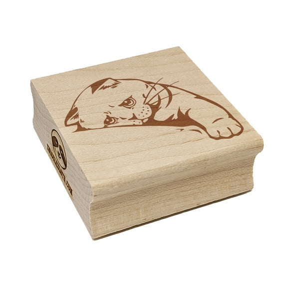 Sad Cat Kitten Looking Longingly Square Rubber Stamp Stamping Scrapbooking Crafting - Large 2.75in