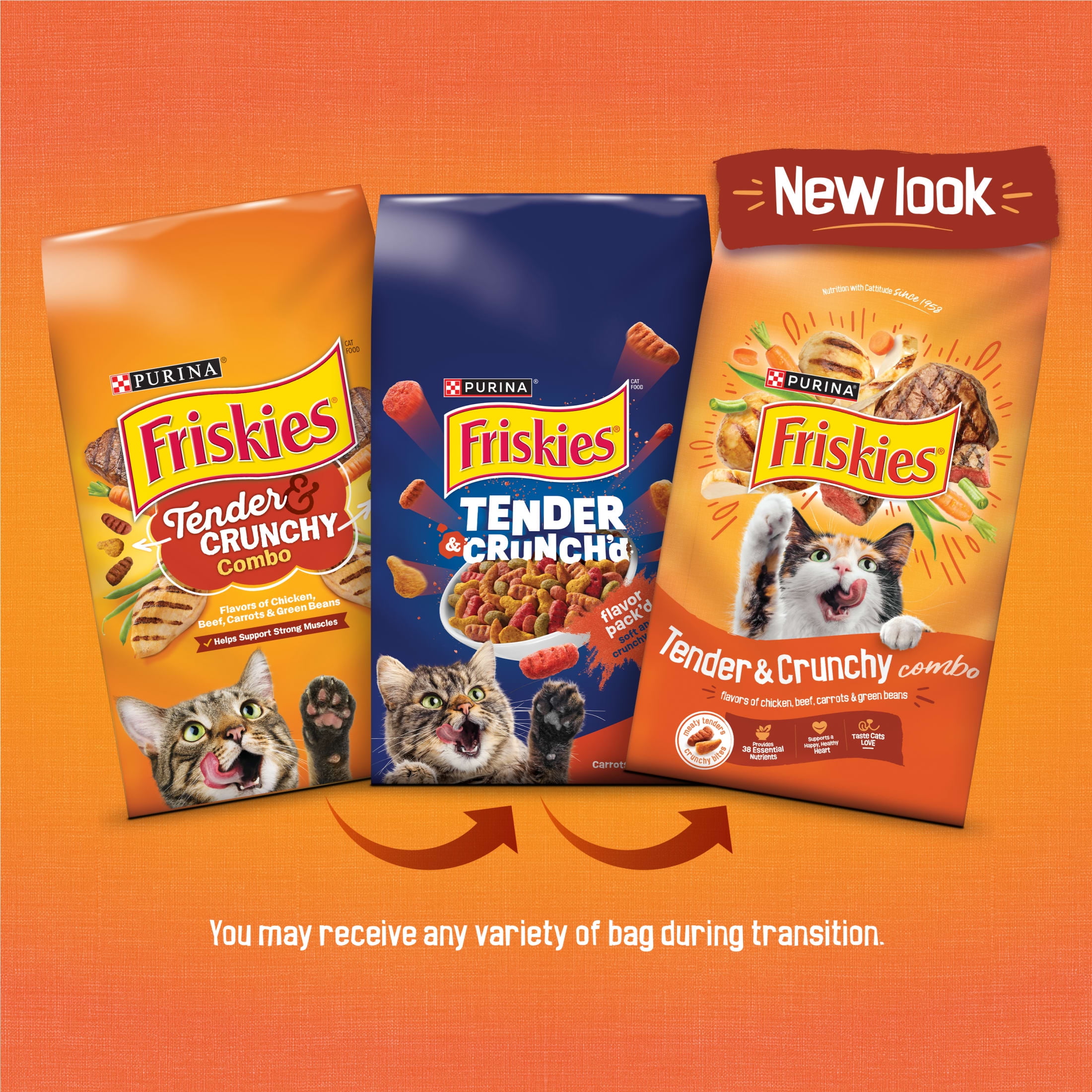 Friskies Tender and Crunch'd Dry Cat Food with Flavors of Chicken