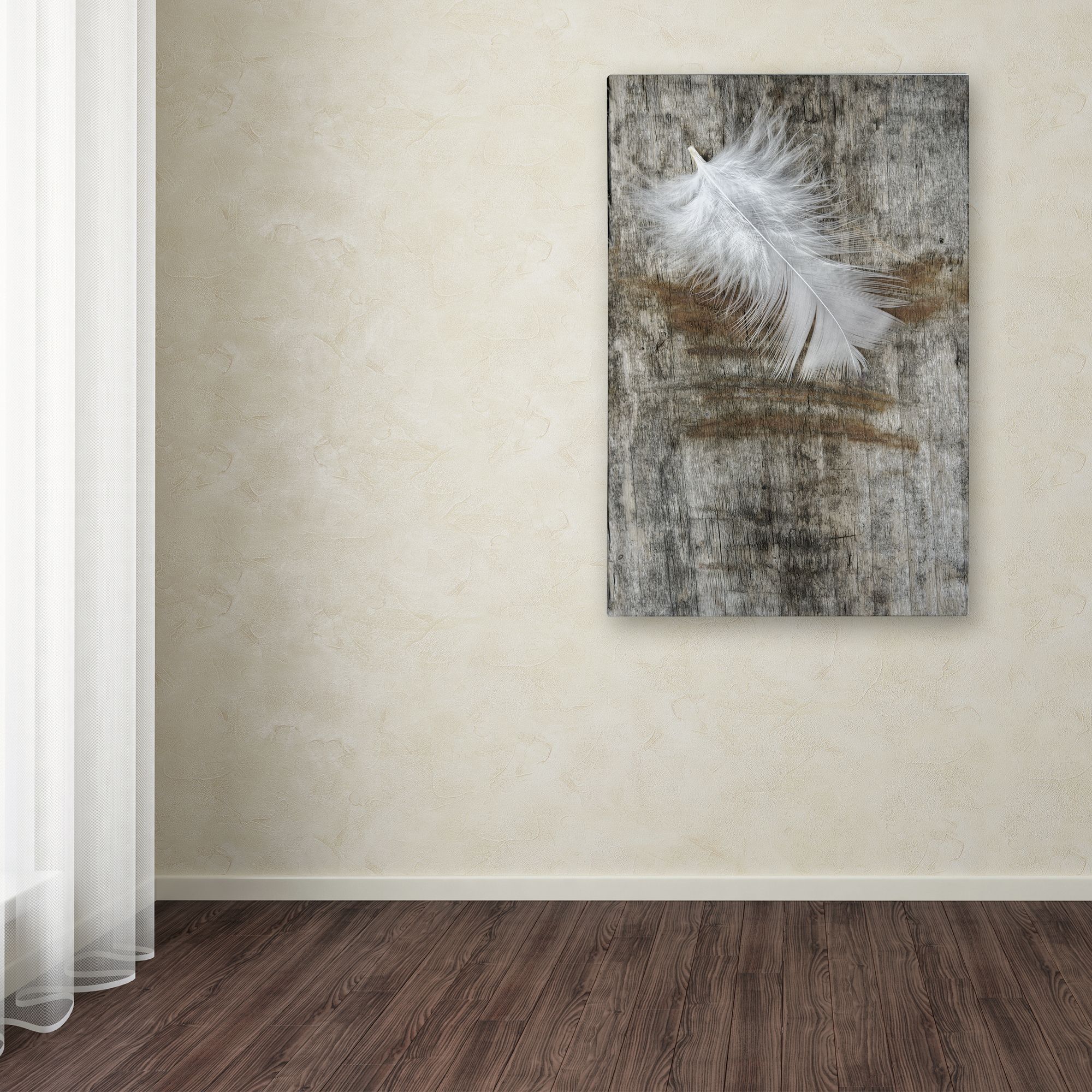 Trademark Fine Art 'White Feather on Wood' Canvas Art by Cora Niele