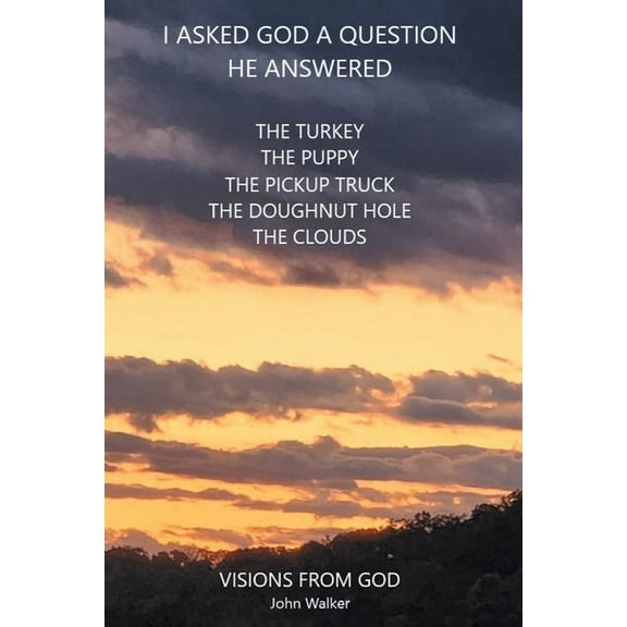I Asked God a Question He Answered: Visions from God (Paperback)