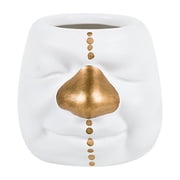 Coofit Flower Pot Ceramic Decorative Clown Plant Pot Flower Planter for Home Decor