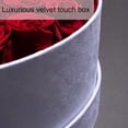 thumbnail image 4 of Rosas preservadas Perfectione 50 rosas rosas en caja de terciopelo, 4 of 6