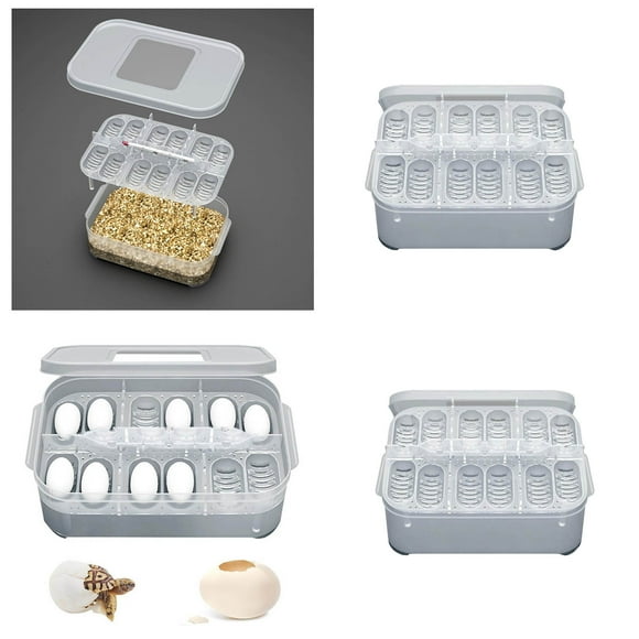 Egg Temperature Control Device Thermal Incubation Storage Mini 12 Snack Rack Leak Proof Soup Container Airtight Food Storage Container Mini Storage Containers Glass Containers with Lids for Food