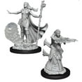 thumbnail image 3 of Dungeons & Dragons Nolzur`s Marvelous Unpainted Miniatures: W12 Female Human Barbarian, 3 of 4