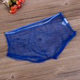 thumbnail image 3 of Wangsaura Men's Sexy Sheer Mesh Panties Boxer Trunks Transparent Shorts, 3 of 5
