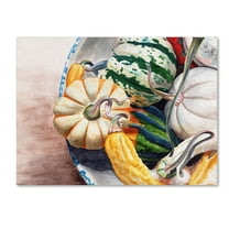 Trademark Fine Art "Autumn Gourds" Canvas Art by Jennifer Redstreake
