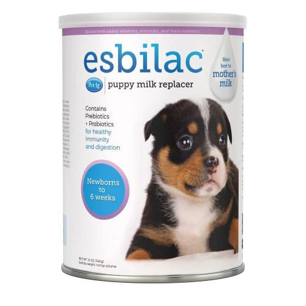 Diy puppy milk replacer 2025