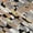 Black, variant on Addison Rugs Chantille Indoor/Outdoor Transitional Casual Beige Machine Washable Rectangle Rug, 10' x 14'