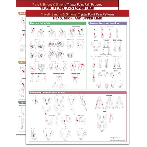Travell, Simons & Simons' Trigger Point Pain Patterns Wall Charts Package (Other)