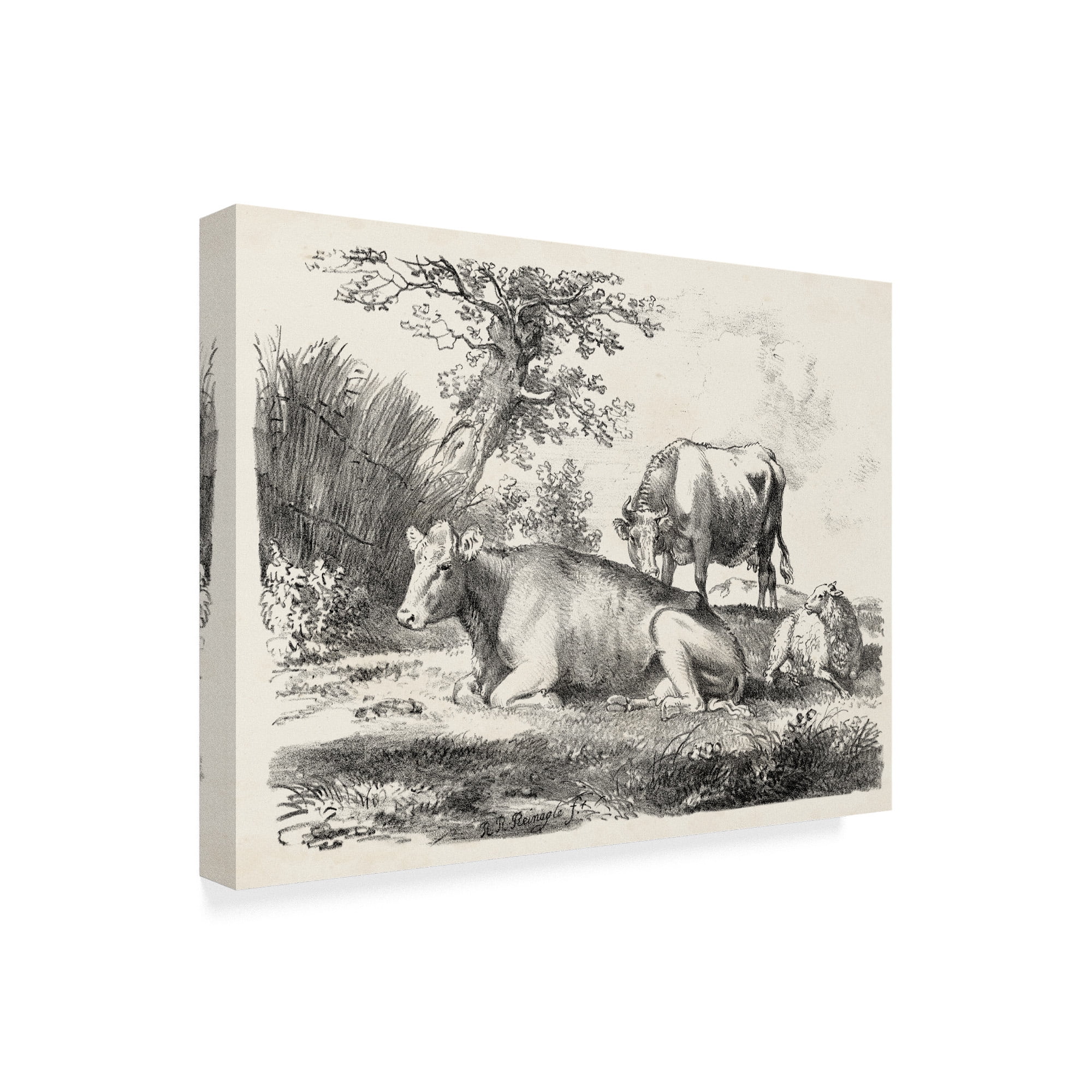 Trademark Fine Art 'Rural Charms IV' Canvas Art by Unknown