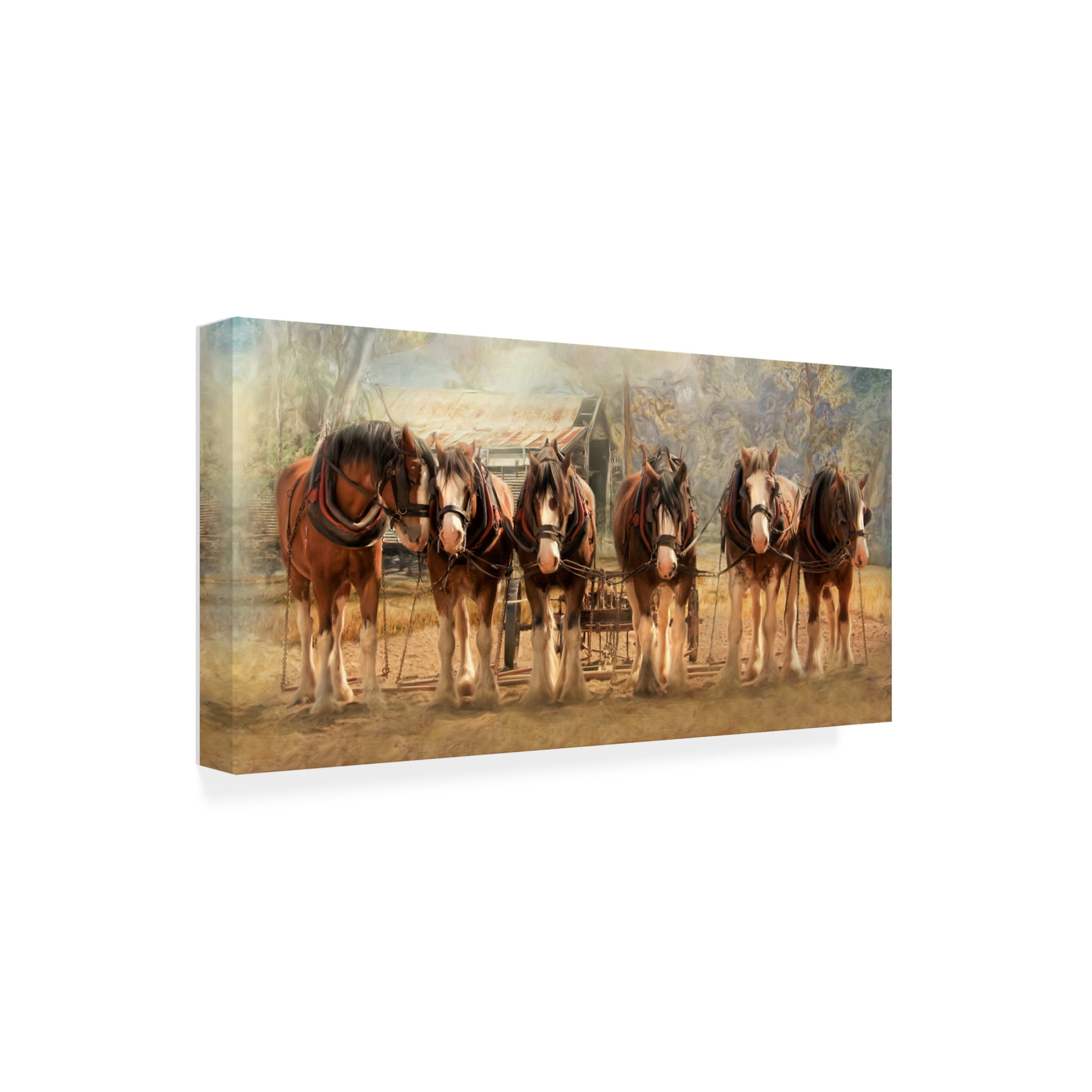 Canvas Wall Art - Trudi Simmonds 'Six On The Hitch' Wall Art for Living Room, Bedroom, or Office Décor by Trademark Fine Art - 24 x 12 Inches