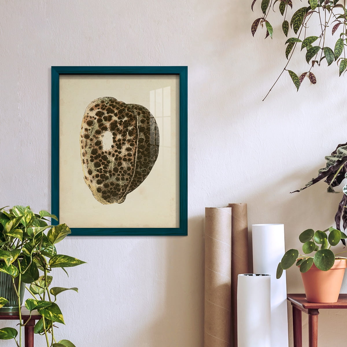 Sealife Collection III - Framed Print w/glass - Ocean Blue