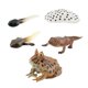 thumbnail image 5 of Figuras de animales Juguete Hugo Aprendizaje Prop Ranas Modelo de crecimiento, 5 of 10