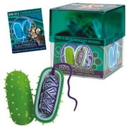 Tedco Toys 32371-BAC Modèle de bactéries Bio Signs