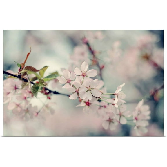 Great BIG Canvas | "A Branch of Beauty" Art Print - 36x24