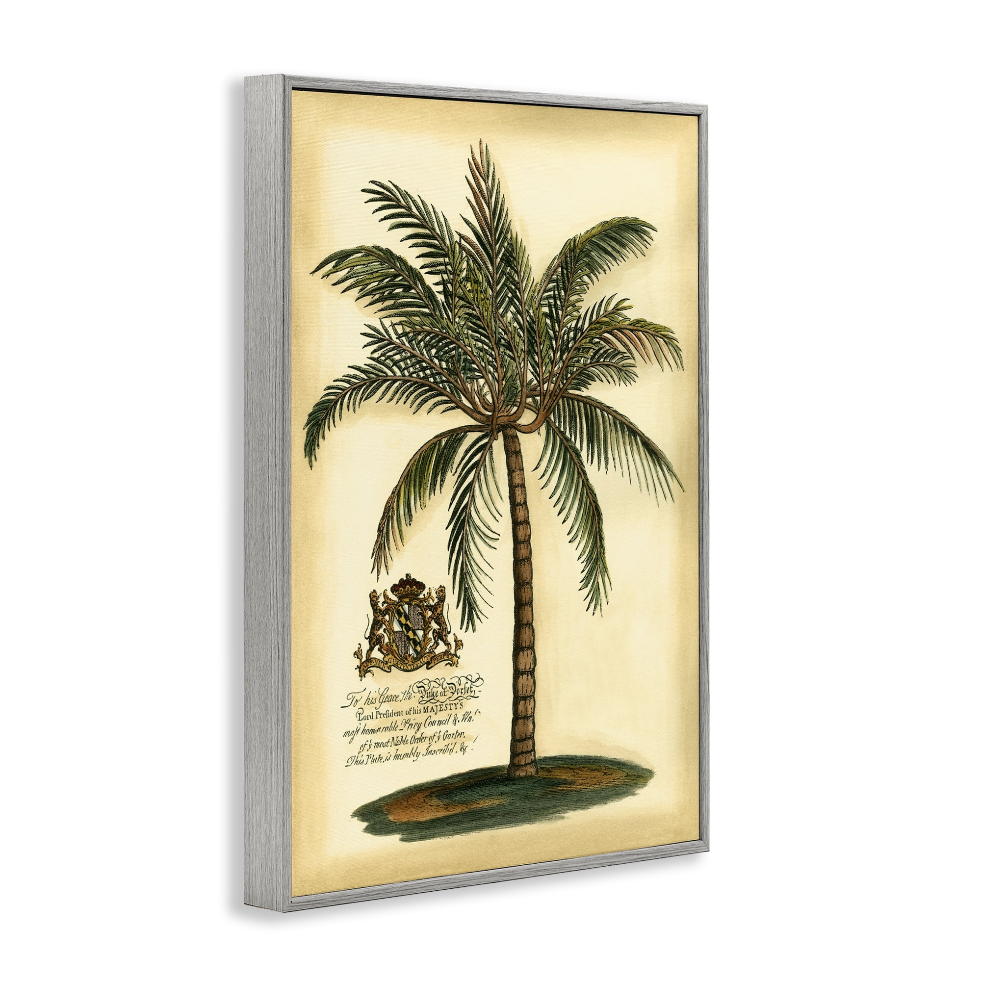 Stupell Industries British Colonial Palm Gray Framed Giclee Art, design by Vision Studio